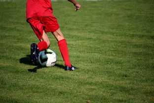 米兰官方网站-意甲裁判语义分析系统在比赛判罚中的应用研究，意甲裁判名单